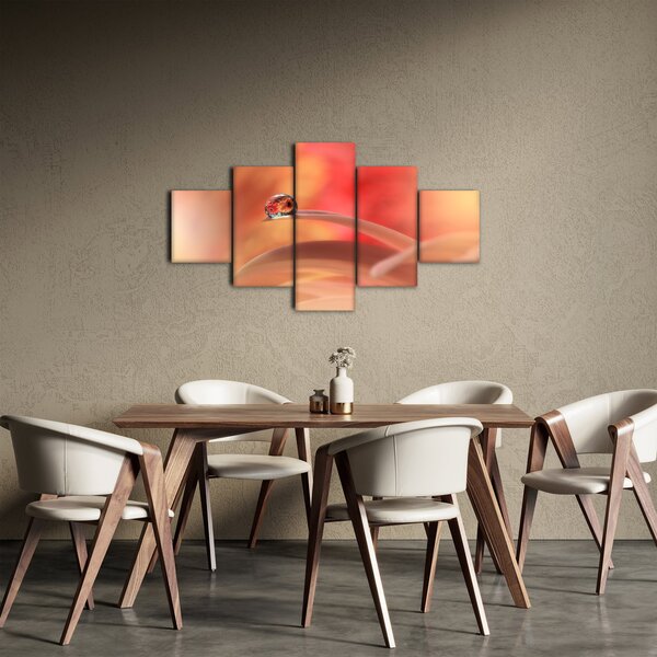 Obraz květinové kapky rosy (125x70 cm)