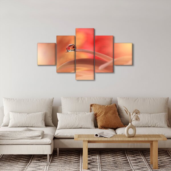 Obraz květinové kapky rosy (125x70 cm)