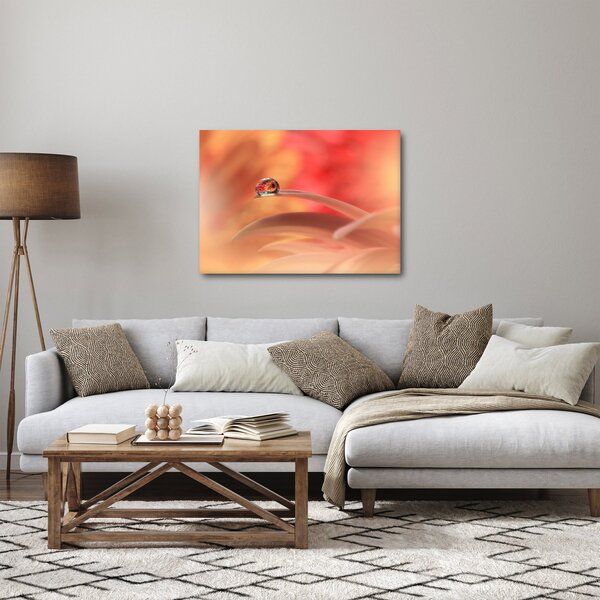 Obraz květinové kapky rosy (70x50 cm)