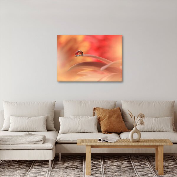 Obraz květinové kapky rosy (70x50 cm)