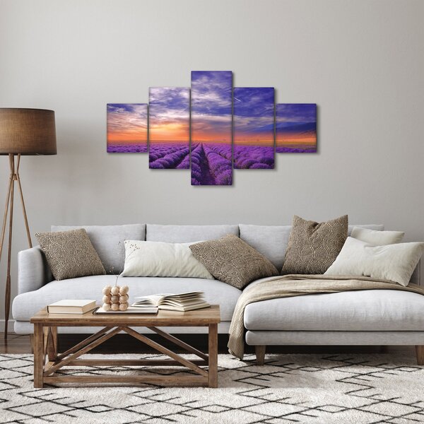 Obraz levandulového pole (125x70 cm)