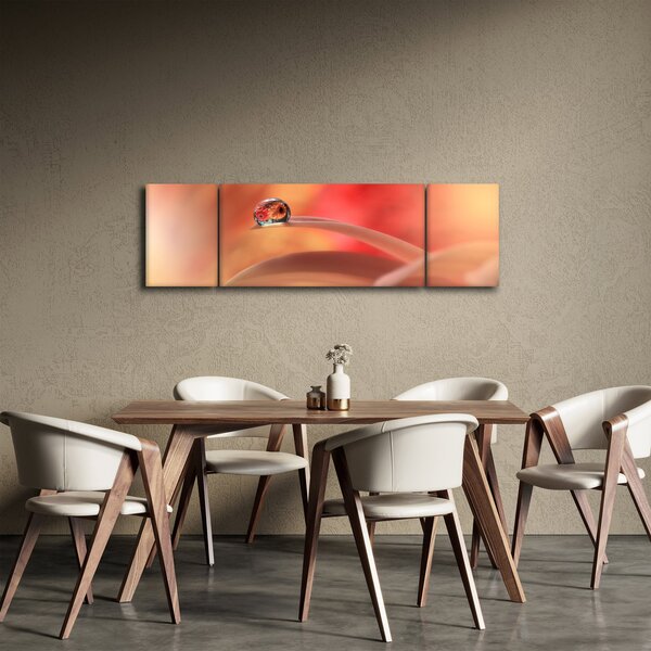 Obraz květinové kapky rosy (170x50 cm)