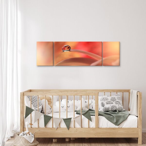 Obraz květinové kapky rosy (170x50 cm)