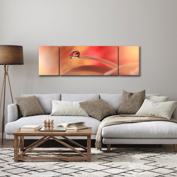 Obraz květinové kapky rosy (170x50 cm)