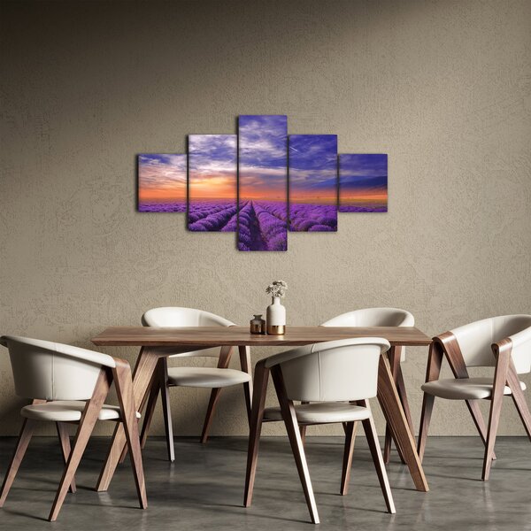 Obraz levandulového pole (125x70 cm)
