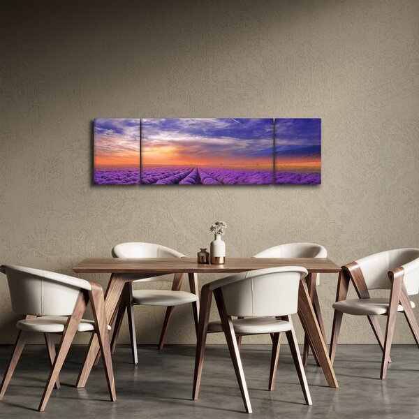 Obraz levandulového pole (170x50 cm)