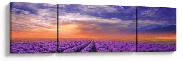 Obraz levandulového pole (170x50 cm)