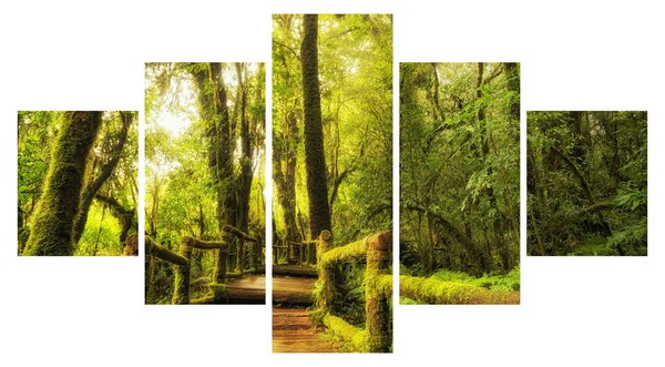 Obraz mechové džungle (125x70 cm)