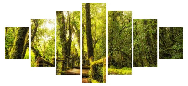 Obraz mechové džungle (210x100 cm)