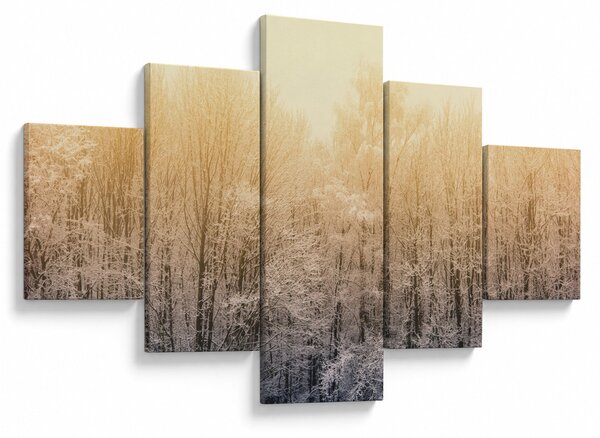 Obraz mrazivého lesa (125x70 cm)