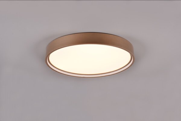 Trio 641310265 LED přisazené stropní svítidlo Doha - nastavení barvy světla na svítidle, oddělené spínání světelných zdrojů, kávová