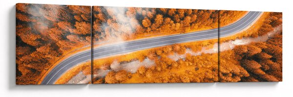 Obraz - Horská silnice (170x50 cm)
