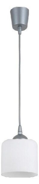 Brilagi - LED Lustr na lanku RETRO GLASS 1xE27/60W/230V pr. 10 cm stříbrná/bílá