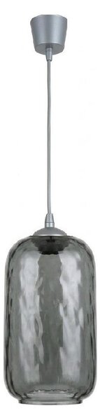 Brilagi - LED Lustr na lanku R GLASS 1xE27/60W/230V pr. 14 cm stříbrná/kouř šedá