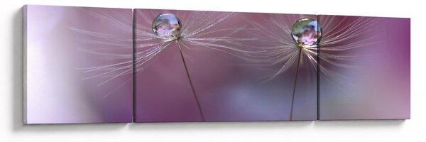 Obraz kapiček na chmýří (170x50 cm)