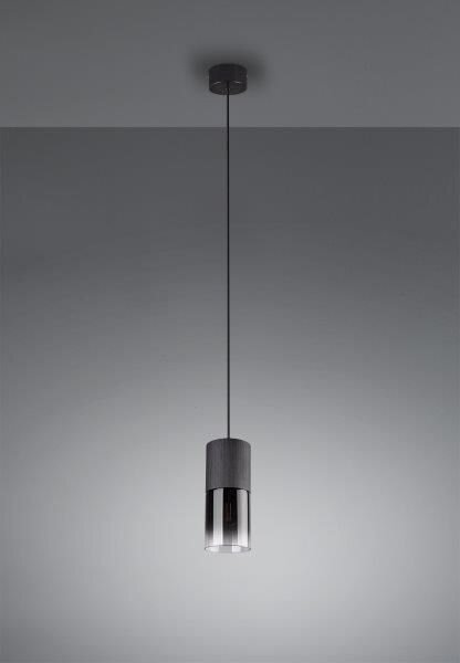 TRIO 310600132 Robin Závěsné svítidlo 100mm E27 1X28W