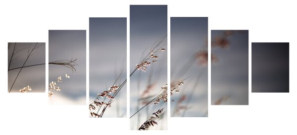 Obraz - Luční kvítí u jezera (210x100 cm)