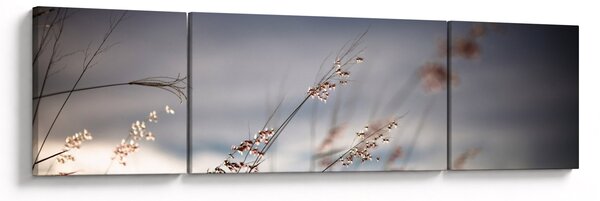 Obraz - Luční kvítí u jezera (170x50 cm)