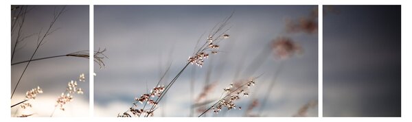 Obraz - Luční kvítí u jezera (170x50 cm)