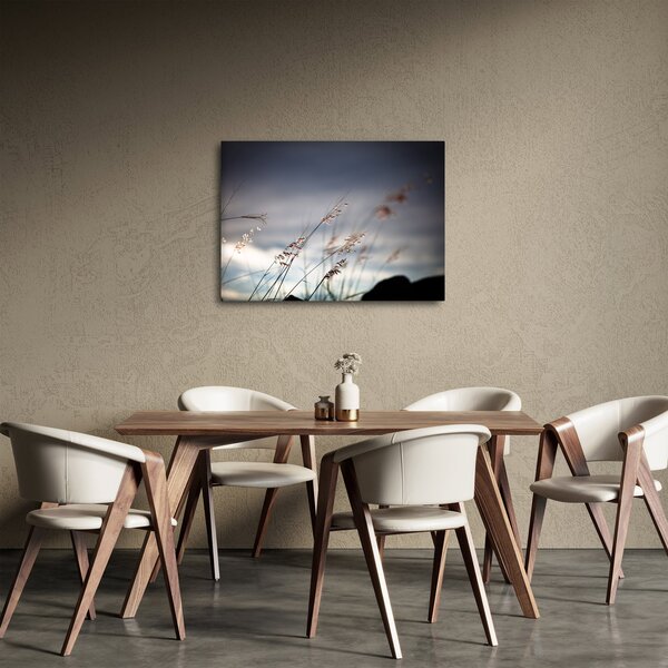 Obraz - Luční kvítí u jezera (70x50 cm)
