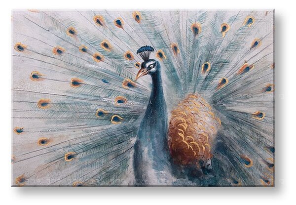 Malovaný nástěnný obraz PAV 1 díl 90x60 cm CWF1595HE1