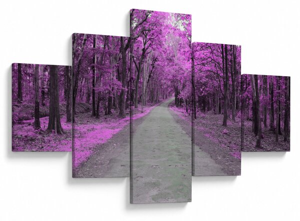 Obraz - Cesta parkem (125x70 cm)
