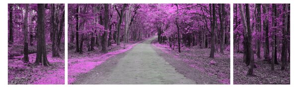 Obraz - Cesta parkem (170x50 cm)