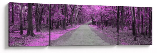 Obraz - Cesta parkem (170x50 cm)