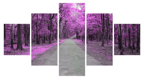 Obraz - Cesta parkem (125x70 cm)