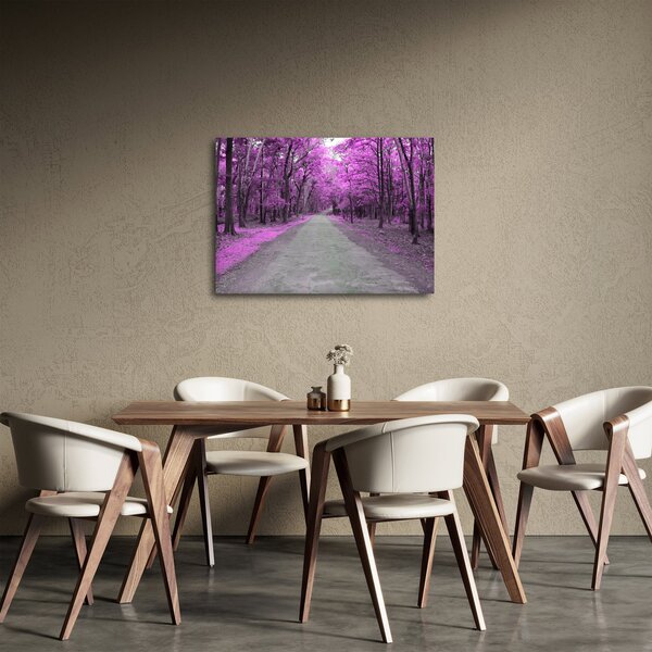 Obraz - Cesta parkem (70x50 cm)