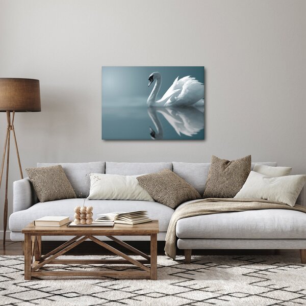 Obraz - Bílá labuť (70x50 cm)