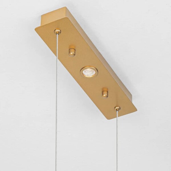 Nova Luce Zlaté skleněné závěsné LED světlo Avesa 61 cm