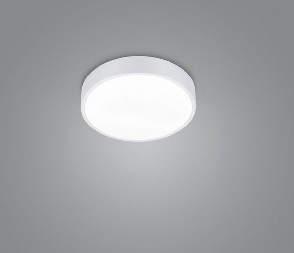 TRIO 627413031 WACO stropní svítidlo SMD LED D310mm 28W/3200lm 2300+3000+4000K bílá matná