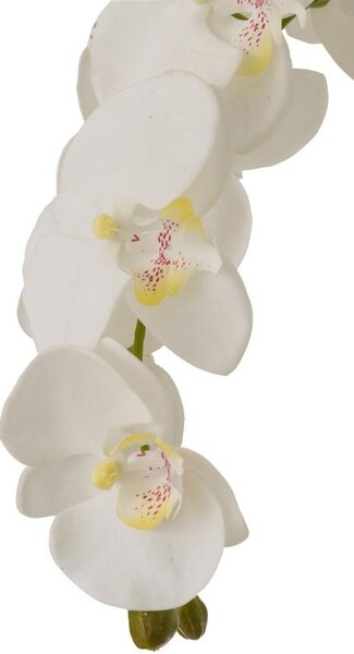Umělá květina J-Line Maryath Orchid 104 cm