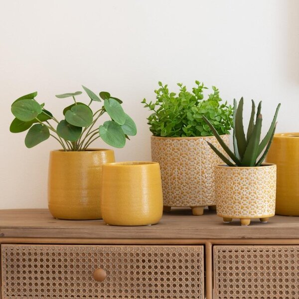 Umělá květina J-Line Maryath Pilea 28,5 cm