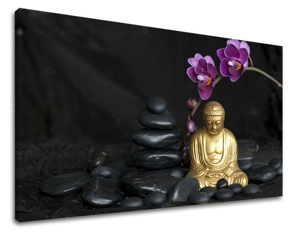 Obraz na stěnu FENG SHUI FS002E11