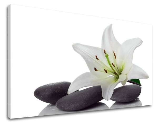 Obraz na stěnu FENG SHUI FS029E11