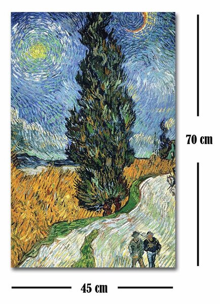 ASIR Nástěnný obraz van Gogh 3 45 x 70 cm