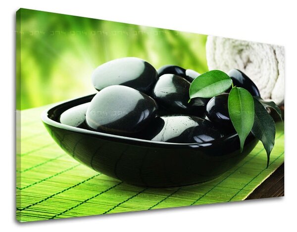 Obraz na stěnu FENG SHUI FS045E11