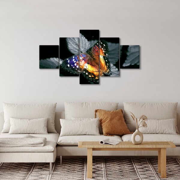Obraz motýla (125x70 cm)