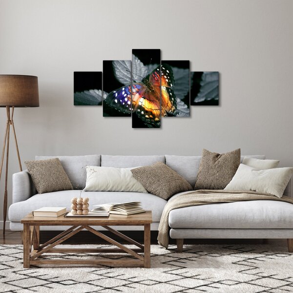 Obraz motýla (125x70 cm)