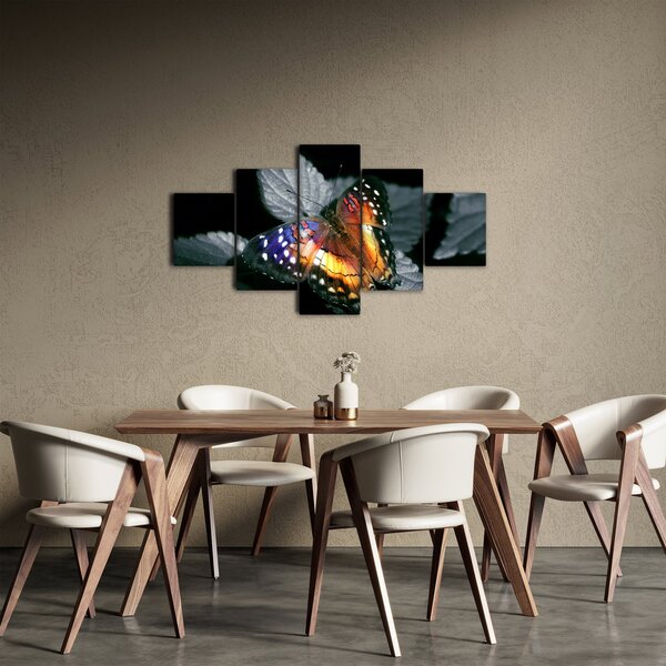 Obraz motýla (125x70 cm)