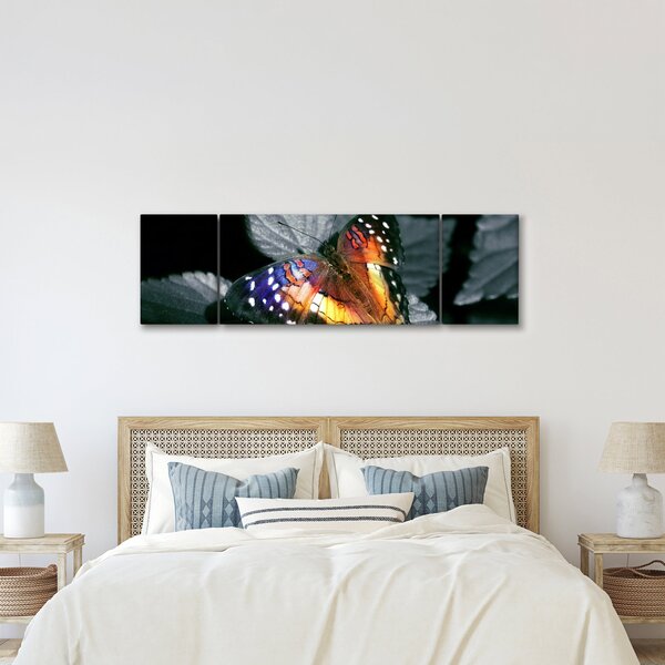 Obraz motýla (170x50 cm)