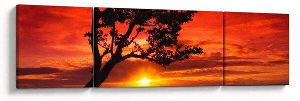 Obraz - Západ slunce (170x50 cm)