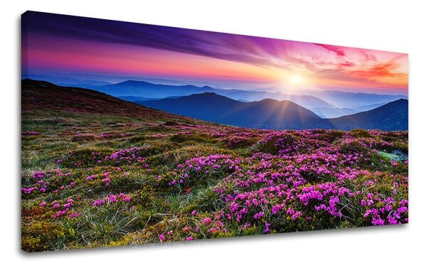 Obraz na stěnu PANORÁMA KRAJINA KR006E13