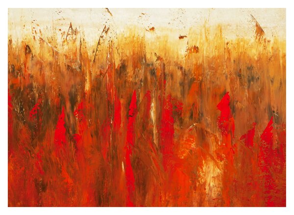 Obraz malované abstrakce (70x50 cm)