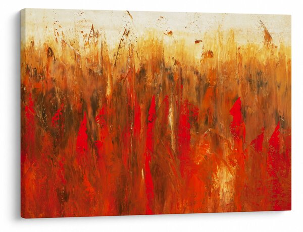 Obraz malované abstrakce (70x50 cm)
