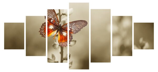 Obraz motýla (210x100 cm)