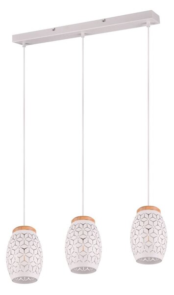 TRIO Reality R31573031 BIDAR závěsné svítidlo 3xE27 bílá matná