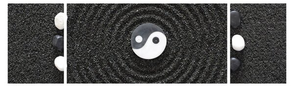 Obraz - Jin a Jang (170x50 cm)